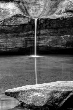 $Cedar Falls Portrait B&W.webp