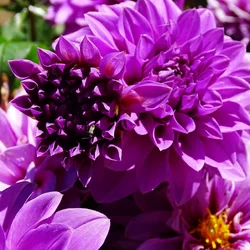$IMG_20140709_223503.webp