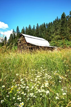 $Old Barn 1 smaller.webp