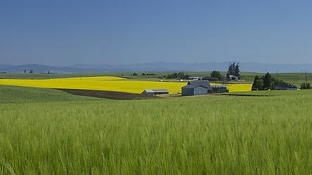 $North of Grangeville resized cropped.webp $North of Grangeville resized cropped.webp