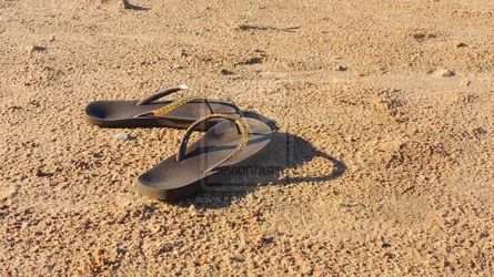 $a_pair_of_walking_shoes_by_jesuslover488448-d7jtldh.webp