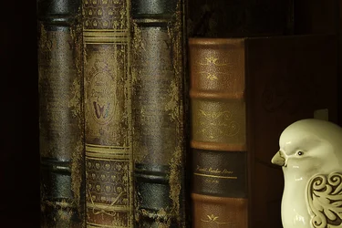 $Library resized.webp