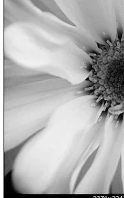 $Screenshot_1.webp