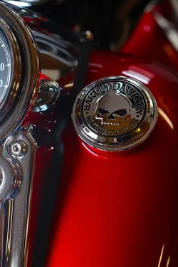 $Harley.webp