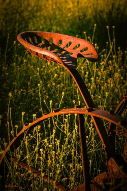 $mill-creek-garden013.webp