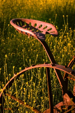 $mill-creek-garden013.webp