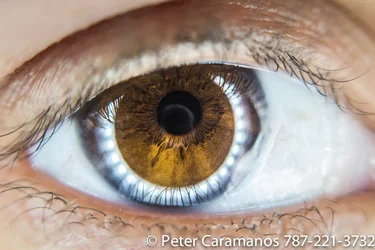 $brown_eye__lol__macro_with_ring_light_and_eos_m_by_caramanos2000-d7qu6r3.webp