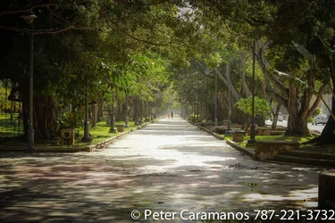 $20131116_img_8493_by_caramanos2000-d6uv8ra.webp