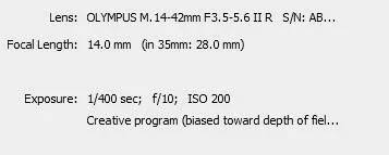 $creative program.webp $creative program.webp