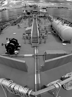 $EyeAreFishy.webp