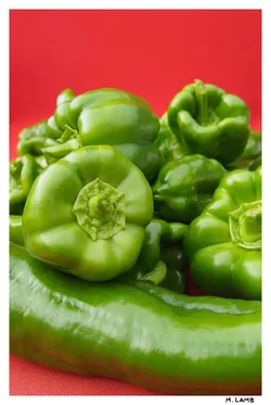 $green peppers.webp