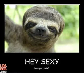 $HOW YOU DOIN.webp