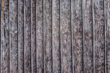 $untitled-14-2-Edit.webp