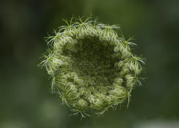 $_DSC5591-Edit (1024x732).webp