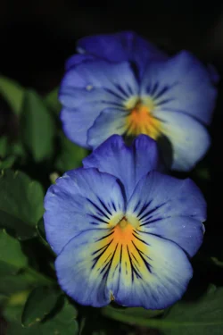 $IMG_1254.webp $IMG_1254.webp