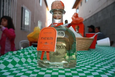 $IMG_2741.webp $IMG_2741.webp