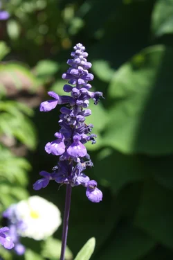 $IMG_5266.webp $IMG_5266.webp