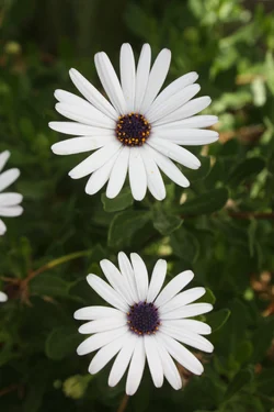 $IMG_4839.webp $IMG_4839.webp