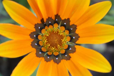 $IMG_4702.webp