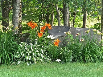 $Flowers6.webp