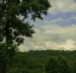 $_DSC5564-Edit (1024x975).webp