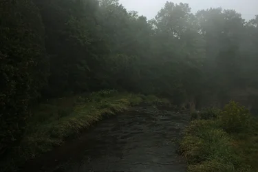 $the falls.webp