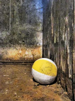 $beach Ball FF 400.webp