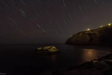 $Dana_point_3 (1 of 1).webp