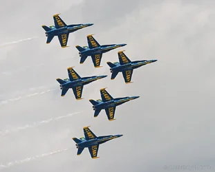 $Go-Navy.webp