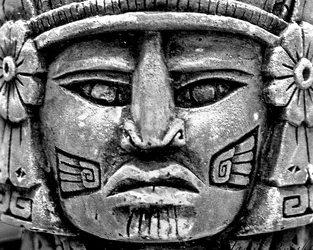 $face.webp