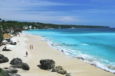 $DREAMLAND BEACH.webp