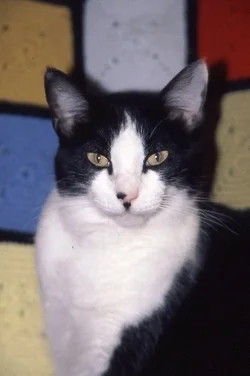 $Penelope 01.webp $Penelope 01.webp