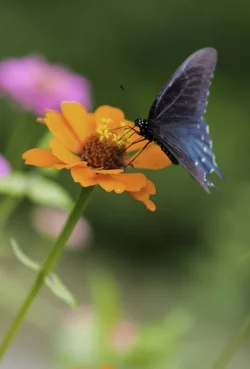$_DSC5840 (694x1024).webp