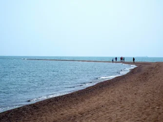 $Point Pelee 019.webp $Point Pelee 019.webp
