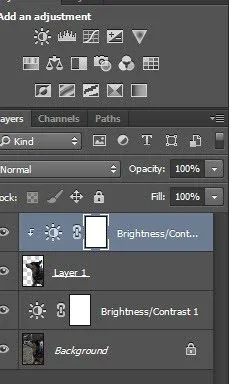 $layers-dog.webp $layers-dog.webp