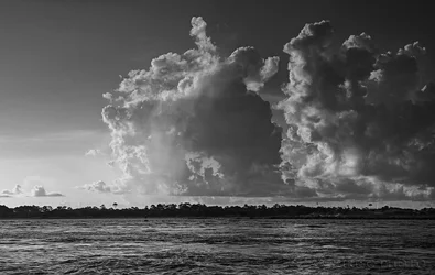 $Morning-Squall.webp