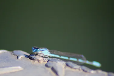 $IMG_9145.webp