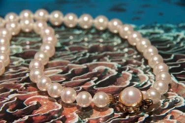 $Jewlery-2-2.webp