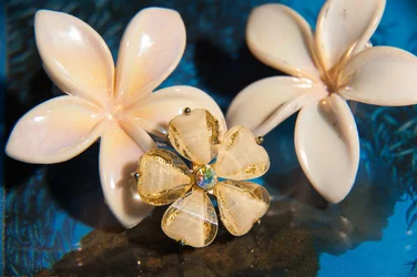 $Jewlery-2.webp