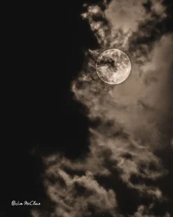 $supermoon140810-28bw.webp