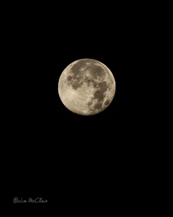 $moonset140811-19.webp