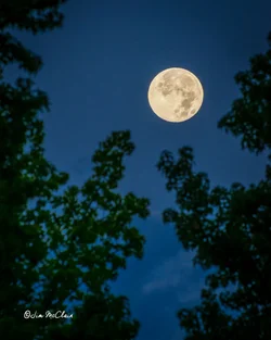 $moonset140811-52.webp