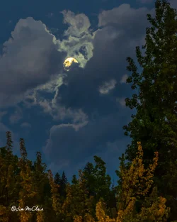$moonset140811-26.webp