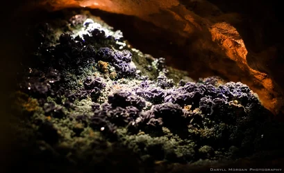 $DSC_0627.webp