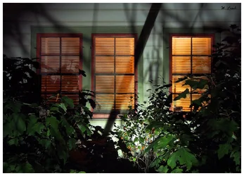 $window nite.webp