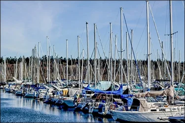 $IMG_2495-2.webp
