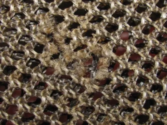 $IMG_0501.webp $IMG_0501.webp
