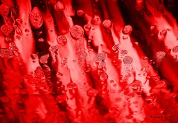 $abstarct redblood 300.webp