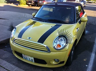 $mini-eyelashes.webp $mini-eyelashes.webp