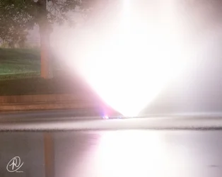 $Purple light (1 of 1).webp